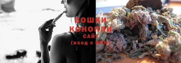 гидропоника Белокуриха