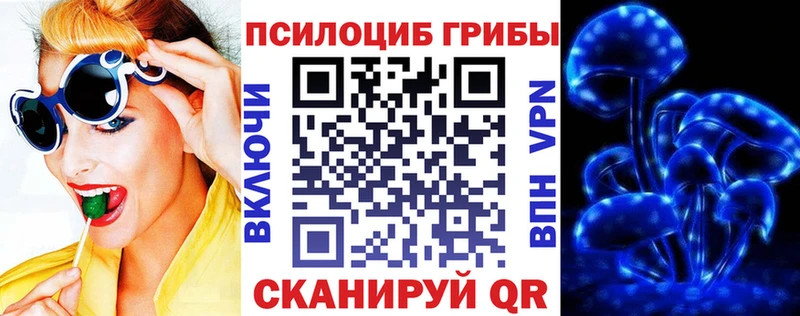 дарк нет клад blacksprut tor Заинск закладки Псилоцибиновые грибы MAGIC MUSHROOMS